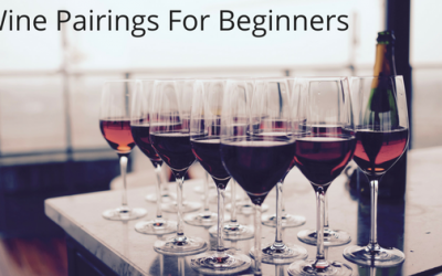 Wine Pairings For Beginners